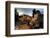 Dawn Patrol-null-Framed Art Print