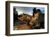 Dawn Patrol-null-Framed Art Print