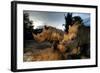 Dawn Patrol-null-Framed Art Print