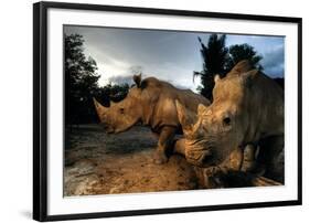 Dawn Patrol-null-Framed Art Print