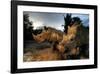 Dawn Patrol-null-Framed Art Print