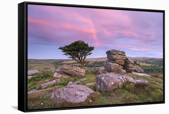 Dawn Rainbow Above Holwell Tor, Dartmoor, Devon, England. Summer (August)-Adam Burton-Framed Stretched Canvas