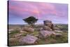 Dawn Rainbow Above Holwell Tor, Dartmoor, Devon, England. Summer (August)-Adam Burton-Stretched Canvas