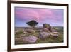Dawn Rainbow Above Holwell Tor, Dartmoor, Devon, England. Summer (August)-Adam Burton-Framed Photographic Print