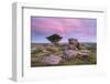 Dawn Rainbow Above Holwell Tor, Dartmoor, Devon, England. Summer (August)-Adam Burton-Framed Photographic Print