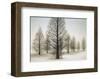 Dawn Redwoods-David Lorenz Winston-Framed Art Print