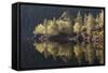 Dawn Reflections in Loch Beinn A? Mheadhoin, Glen Affric, Wester Ross, Highlands, Scotland, UK-Peter Cairns-Framed Stretched Canvas