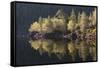 Dawn Reflections in Loch Beinn A? Mheadhoin, Glen Affric, Wester Ross, Highlands, Scotland, UK-Peter Cairns-Framed Stretched Canvas