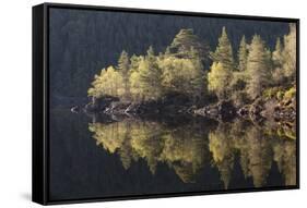 Dawn Reflections in Loch Beinn A? Mheadhoin, Glen Affric, Wester Ross, Highlands, Scotland, UK-Peter Cairns-Framed Stretched Canvas