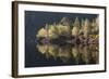 Dawn Reflections in Loch Beinn A? Mheadhoin, Glen Affric, Wester Ross, Highlands, Scotland, UK-Peter Cairns-Framed Photographic Print