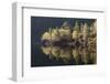 Dawn Reflections in Loch Beinn A? Mheadhoin, Glen Affric, Wester Ross, Highlands, Scotland, UK-Peter Cairns-Framed Photographic Print