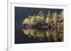 Dawn Reflections in Loch Beinn A? Mheadhoin, Glen Affric, Wester Ross, Highlands, Scotland, UK-Peter Cairns-Framed Photographic Print