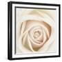 Dawn Rose-Mindy Sommers-Framed Giclee Print