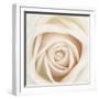 Dawn Rose-Mindy Sommers-Framed Giclee Print