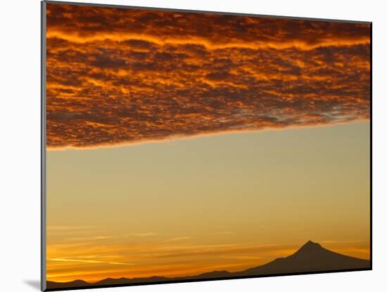 Dawn Sky over Mt. Hood, Oregon, USA-William Sutton-Mounted Premium Photographic Print