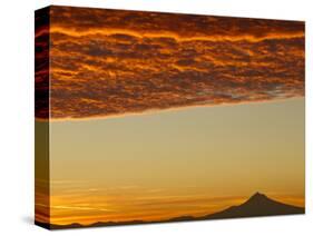 Dawn Sky over Mt. Hood, Oregon, USA-William Sutton-Stretched Canvas