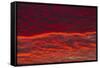 Dawn sky, Portland, Oregon-William Sutton-Framed Stretched Canvas