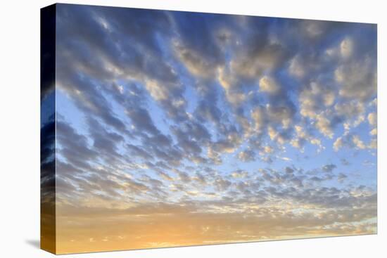 Dawn sky, Sanibel Island, Florida.-William Sutton-Stretched Canvas