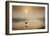 Dawn Swoop-Adrian Campfield-Framed Photographic Print