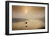 Dawn Swoop-Adrian Campfield-Framed Photographic Print