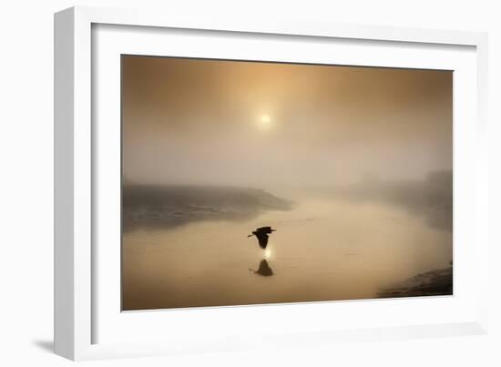 Dawn Swoop-Adrian Campfield-Framed Photographic Print