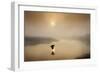 Dawn Swoop-Adrian Campfield-Framed Photographic Print