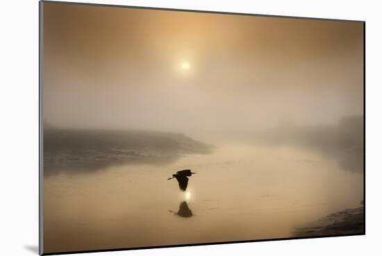 Dawn Swoop-Adrian Campfield-Mounted Photographic Print