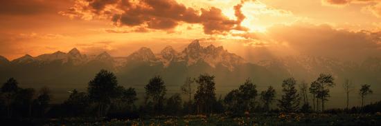 Premium Photographic Print, , large