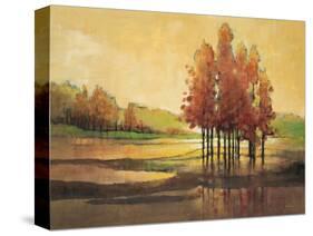 Dawn Till Day-Wendy Kroeker-Stretched Canvas