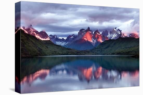 Dawn Torres del Paine-Larry Malvin-Stretched Canvas