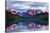 Dawn Torres del Paine-Larry Malvin-Stretched Canvas