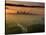 Dawn View of Downtown, Los Angeles, California, USA-Walter Bibikow-Stretched Canvas