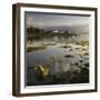 Dawn View of Plockton Harbour and Loch Carron Near the Kyle of Lochalsh in the Scottish Highlands-John Woodworth-Framed Photographic Print