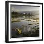 Dawn View of Plockton Harbour and Loch Carron Near the Kyle of Lochalsh in the Scottish Highlands-John Woodworth-Framed Photographic Print