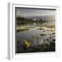 Dawn View of Plockton Harbour and Loch Carron Near the Kyle of Lochalsh in the Scottish Highlands-John Woodworth-Framed Photographic Print