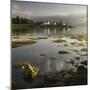 Dawn View of Plockton Harbour and Loch Carron Near the Kyle of Lochalsh in the Scottish Highlands-John Woodworth-Mounted Photographic Print