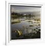 Dawn View of Plockton Harbour and Loch Carron Near the Kyle of Lochalsh in the Scottish Highlands-John Woodworth-Framed Photographic Print