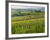 Dawn View of Val D'Orcia Showing Belvedere and Rolling Tuscan Countryside, San Quirico D'Orcia-John Woodworth-Framed Photographic Print