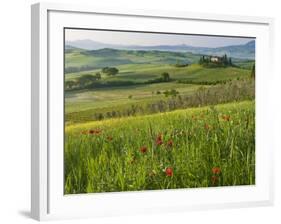 Dawn View of Val D'Orcia Showing Belvedere and Rolling Tuscan Countryside, San Quirico D'Orcia-John Woodworth-Framed Photographic Print