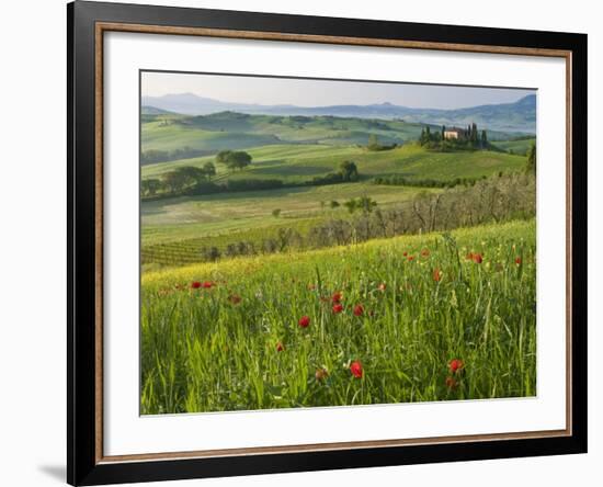 Dawn View of Val D'Orcia Showing Belvedere and Rolling Tuscan Countryside, San Quirico D'Orcia-John Woodworth-Framed Photographic Print