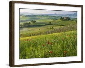 Dawn View of Val D'Orcia Showing Belvedere and Rolling Tuscan Countryside, San Quirico D'Orcia-John Woodworth-Framed Photographic Print