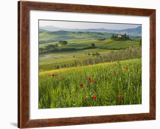 Dawn View of Val D'Orcia Showing Belvedere and Rolling Tuscan Countryside, San Quirico D'Orcia-John Woodworth-Framed Photographic Print