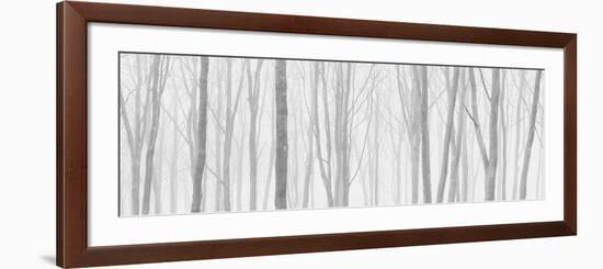 Dawn Watch-David Baker-Framed Photographic Print