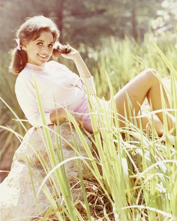 'Dawn Wells - Gilligan's Island' Photo | AllPosters.com