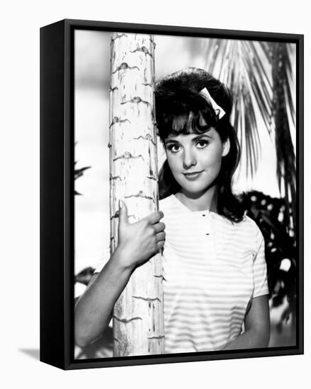 Dawn Wells-null-Framed Stretched Canvas