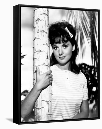 Dawn Wells-null-Framed Stretched Canvas