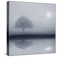 Dawn Whispers-Adrian Campfield-Stretched Canvas