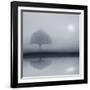 Dawn Whispers-Adrian Campfield-Framed Giclee Print