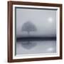 Dawn Whispers-Adrian Campfield-Framed Giclee Print