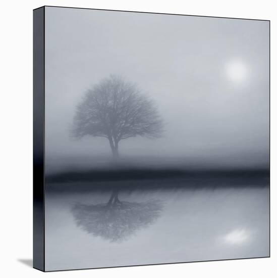 Dawn Whispers-Adrian Campfield-Stretched Canvas